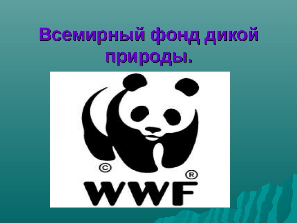 Всемирный фонд дикой природы, эмблема Всемирный фонд дикой природы, эмблема